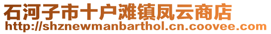 石河子市十戶灘鎮鳳云商店