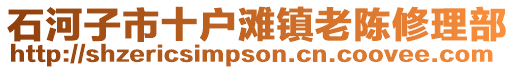 石河子市十戶灘鎮(zhèn)老陳修理部