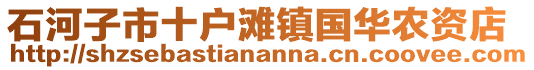 石河子市十戶灘鎮國華農資店
