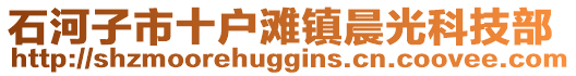 石河子市十戶灘鎮晨光科技部