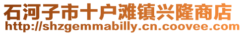 石河子市十戶灘鎮興隆商店