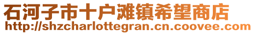 石河子市十戶灘鎮(zhèn)希望商店