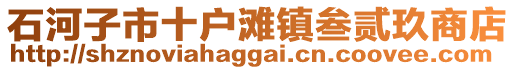 石河子市十戶灘鎮叁貳玖商店