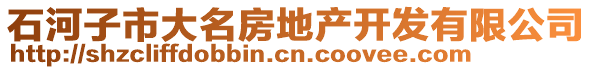 石河子市大名房地產開發(fā)有限公司