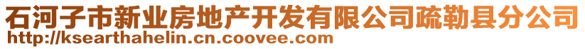 石河子市新業(yè)房地產開發(fā)有限公司疏勒縣分公司