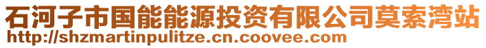 石河子市國能能源投資有限公司莫索灣站