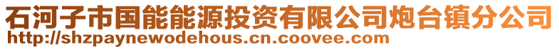 石河子市國能能源投資有限公司炮臺鎮(zhèn)分公司