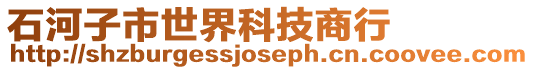 石河子市世界科技商行