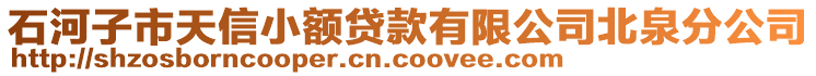 石河子市天信小額貸款有限公司北泉分公司