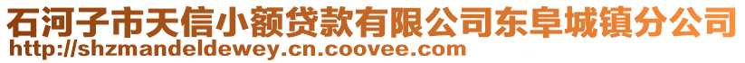 石河子市天信小額貸款有限公司東阜城鎮(zhèn)分公司