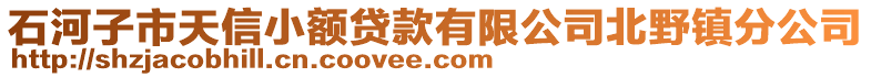 石河子市天信小額貸款有限公司北野鎮分公司