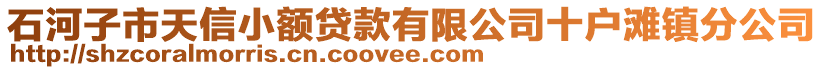 石河子市天信小額貸款有限公司十戶灘鎮(zhèn)分公司