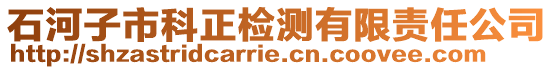 石河子市科正檢測(cè)有限責(zé)任公司