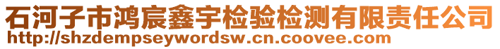 石河子市鴻宸鑫宇檢驗(yàn)檢測(cè)有限責(zé)任公司