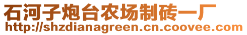 石河子炮臺農(nóng)場制磚一廠