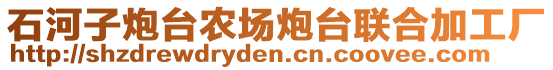 石河子炮臺農(nóng)場炮臺聯(lián)合加工廠