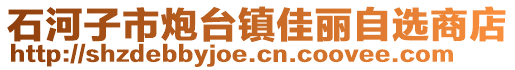 石河子市炮臺鎮(zhèn)佳麗自選商店