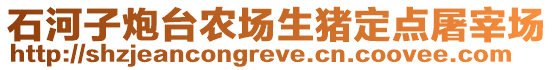 石河子炮台农场生猪定点屠宰场