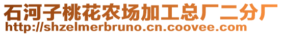 石河子桃花農(nóng)場(chǎng)加工總廠二分廠