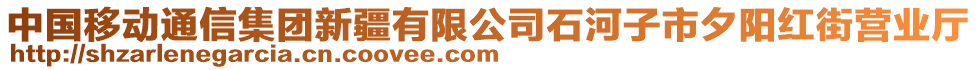 中國移動(dòng)通信集團(tuán)新疆有限公司石河子市夕陽紅街營業(yè)廳