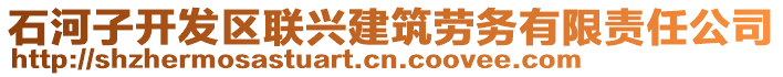 石河子開發(fā)區(qū)聯(lián)興建筑勞務(wù)有限責任公司