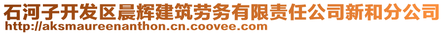 石河子開發(fā)區(qū)晨輝建筑勞務(wù)有限責(zé)任公司新和分公司