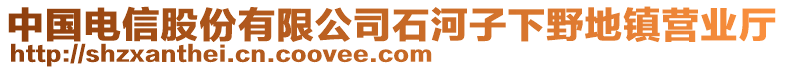 中國電信股份有限公司石河子下野地鎮(zhèn)營業(yè)廳