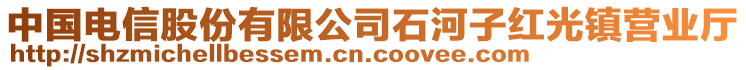 中國電信股份有限公司石河子紅光鎮(zhèn)營業(yè)廳