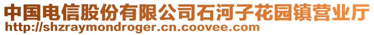 中國電信股份有限公司石河子花園鎮(zhèn)營業(yè)廳