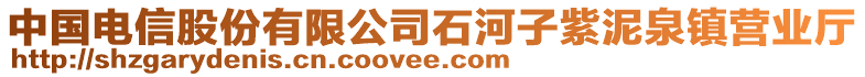 中國(guó)電信股份有限公司石河子紫泥泉鎮(zhèn)營(yíng)業(yè)廳