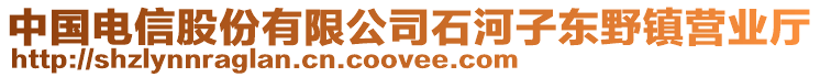 中國電信股份有限公司石河子?xùn)|野鎮(zhèn)營業(yè)廳