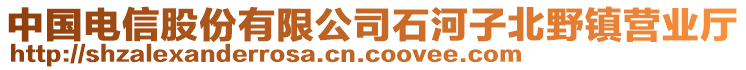 中國電信股份有限公司石河子北野鎮(zhèn)營業(yè)廳