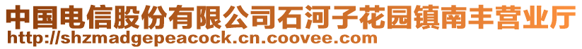 中國電信股份有限公司石河子花園鎮(zhèn)南豐營業(yè)廳