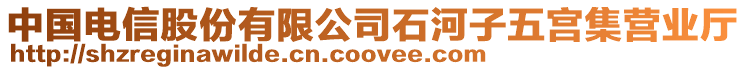 中國(guó)電信股份有限公司石河子五宮集營(yíng)業(yè)廳