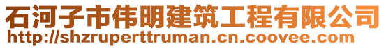 石河子市偉明建筑工程有限公司