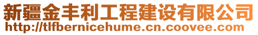 新疆金豐利工程建設(shè)有限公司