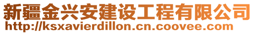 新疆金興安建設(shè)工程有限公司