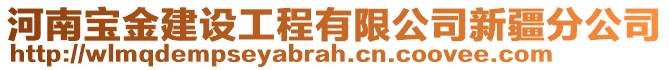 河南寶金建設工程有限公司新疆分公司