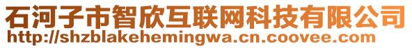 石河子市智欣互聯(lián)網(wǎng)科技有限公司