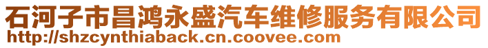 石河子市昌鴻永盛汽車維修服務(wù)有限公司