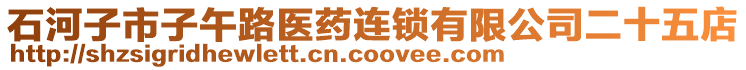 石河子市子午路醫(yī)藥連鎖有限公司二十五店