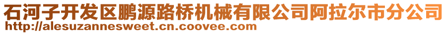 石河子開發(fā)區(qū)鵬源路橋機械有限公司阿拉爾市分公司