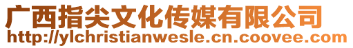 廣西指尖文化傳媒有限公司