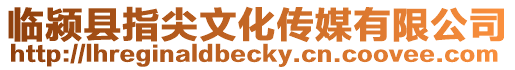 臨潁縣指尖文化傳媒有限公司