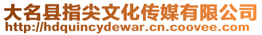 大名縣指尖文化傳媒有限公司