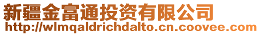 新疆金富通投資有限公司