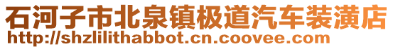 石河子市北泉鎮(zhèn)極道汽車裝潢店