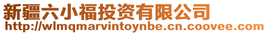 新疆六小福投資有限公司