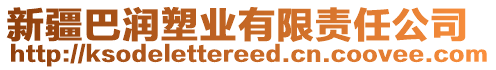 新疆巴潤塑業(yè)有限責(zé)任公司