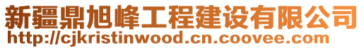 新疆鼎旭峰工程建設(shè)有限公司